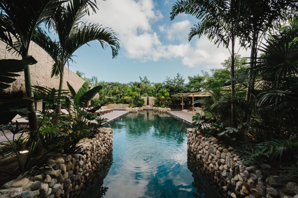 帕洛米诺Naio Hotel y Villas的棕榈树度假村内的游泳池
