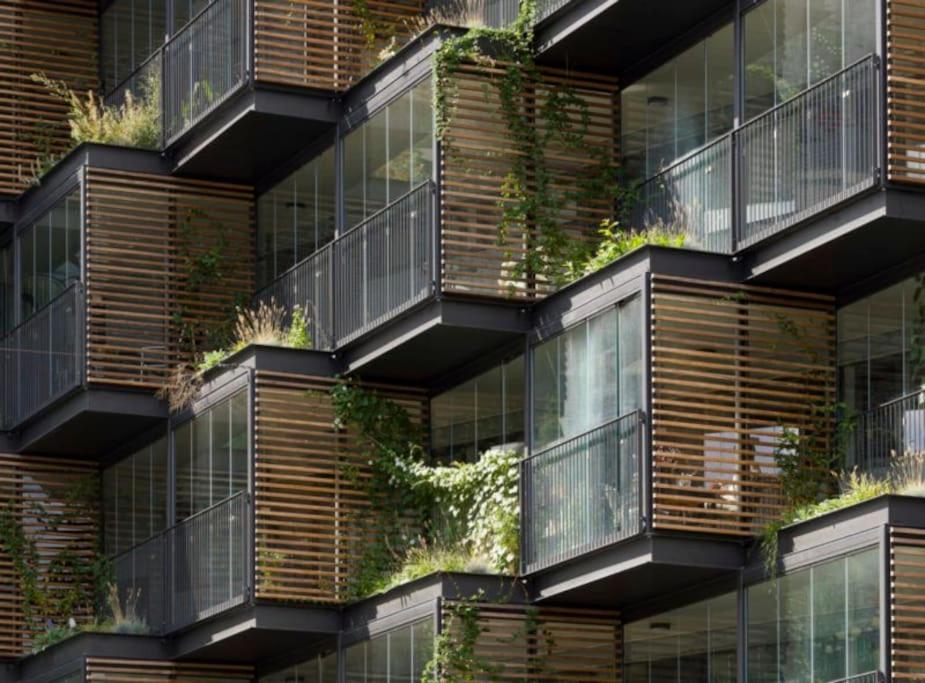 哥本哈根Central family home in award-winning architecture的一座植物在建筑的一侧