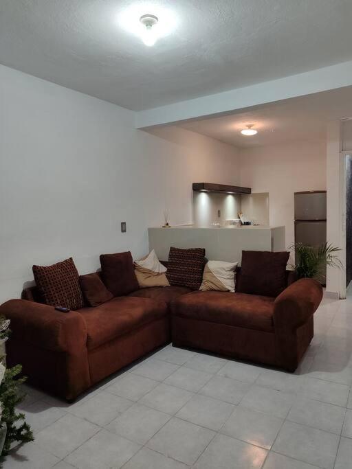 伊达尔戈州波萨里卡Departamento minimalista的客厅里一张棕色沙发