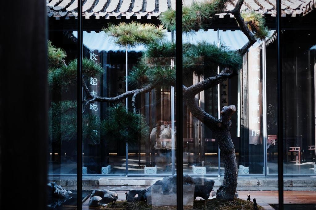 扬州重构·冰瓯馆人文度假民宿(扬州东关街店)的建筑物前的小松树