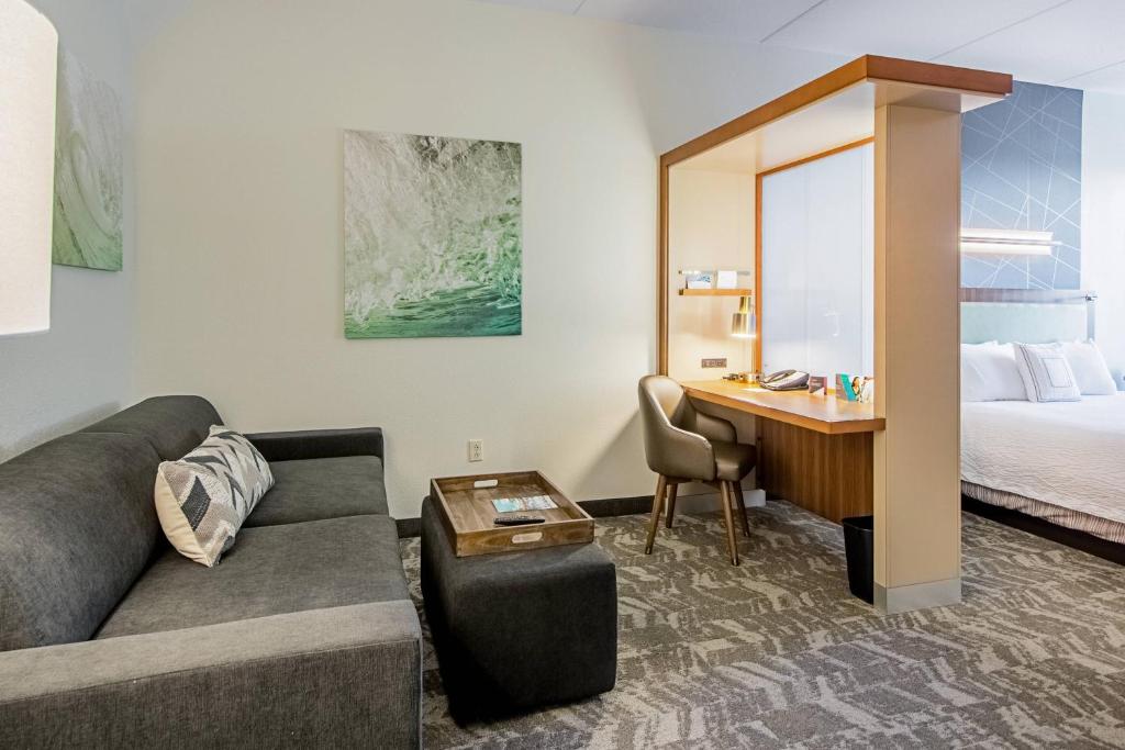 坦帕坦帕棕榈/北坦帕春季山丘套房酒店的酒店客房设有沙发、书桌和床。