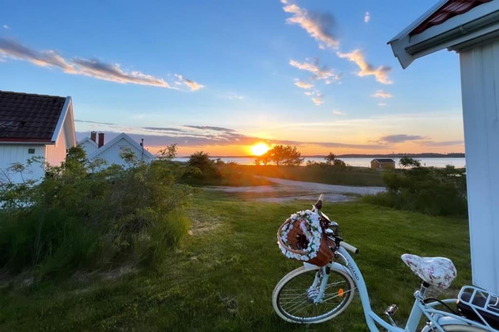 腓特烈斯塔Bestemors hus - med kystnær beliggenhet的一辆自行车停在草地上,背着日落