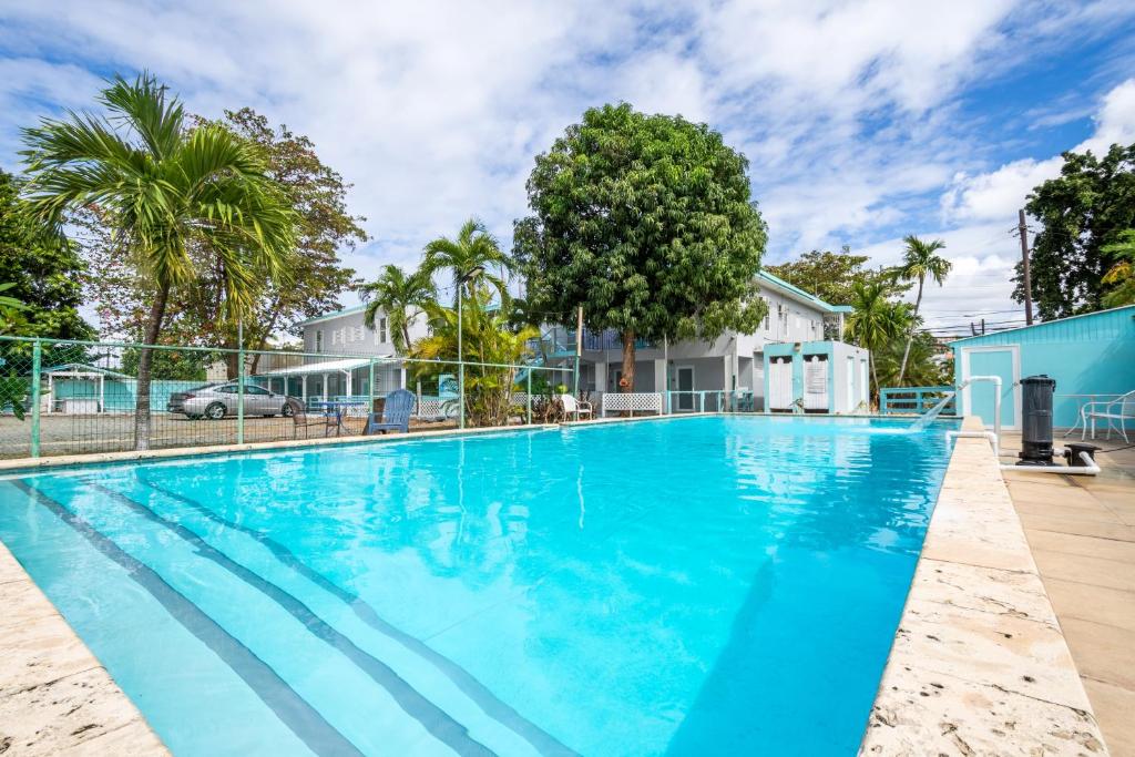 林康West Coast Inn's的一个种有棕榈树的大型蓝色游泳池