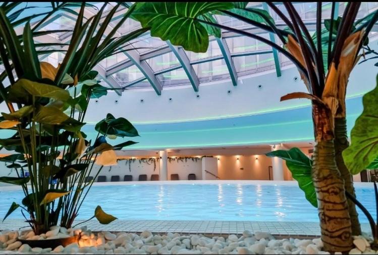 什切青Hanza Tower Casino & Pool & Jacuzzi & Sauna的一座棕榈树游泳池