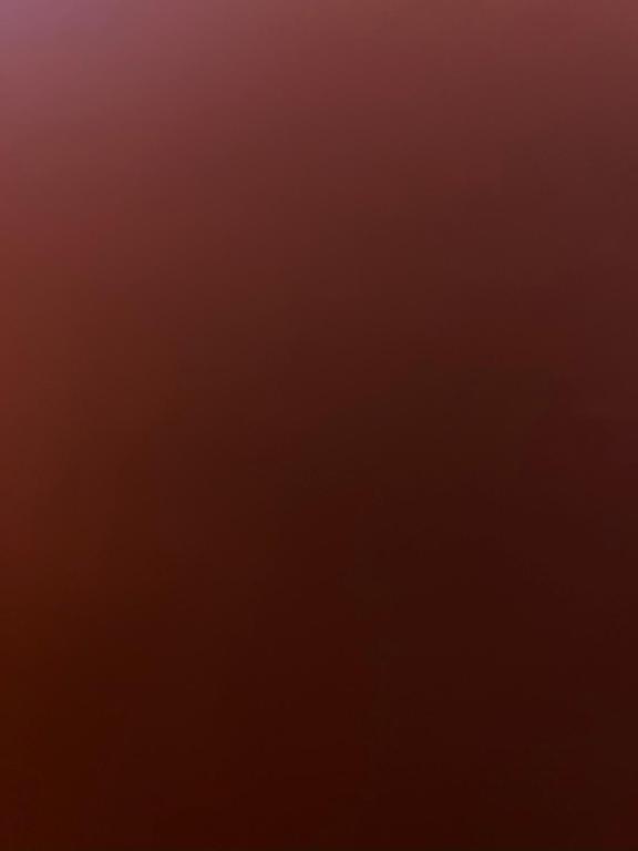 GarniMon Terre的空中飞翔的红色背景