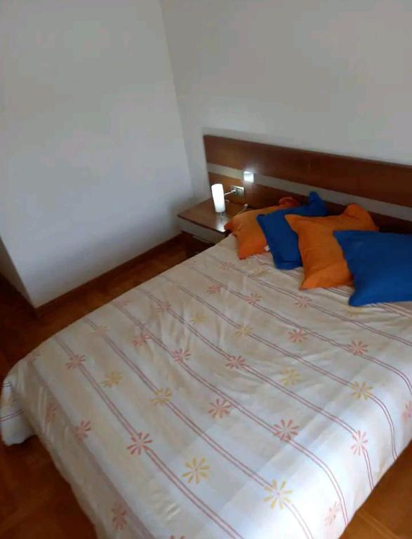 潘普洛纳Habitación Renfe的一间卧室配有带橙色和蓝色枕头的床