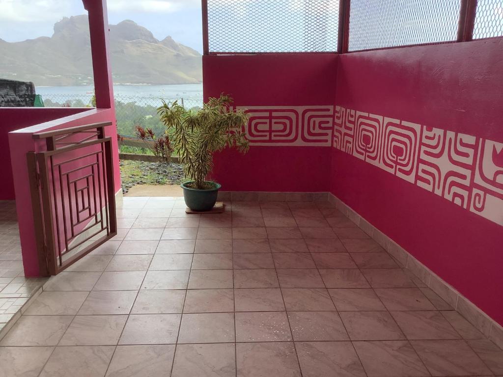 努库希瓦CHEZ ALIZHIA的粉红色的房间,有盆栽和窗户