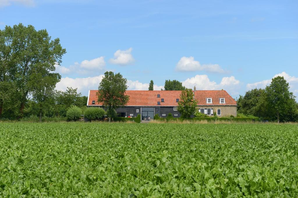 heinkenszandHistorische Boerderij FAMILIEKAMER的田间中的大型房屋