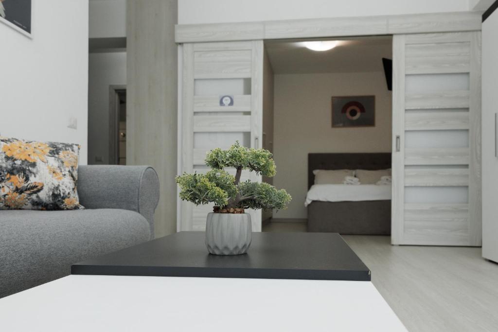 苏恰瓦Exclusive Ultracentral Apartments and Studios #Enescu#Universitatii#Suceava的客厅配有沙发和1张床