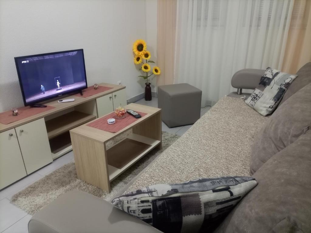 Gornja ToplicaJelaLux的带沙发和平面电视的客厅