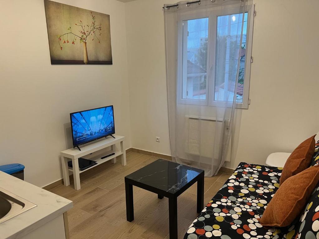 圣但尼Appartement lumineux près métro的带沙发和电视的客厅