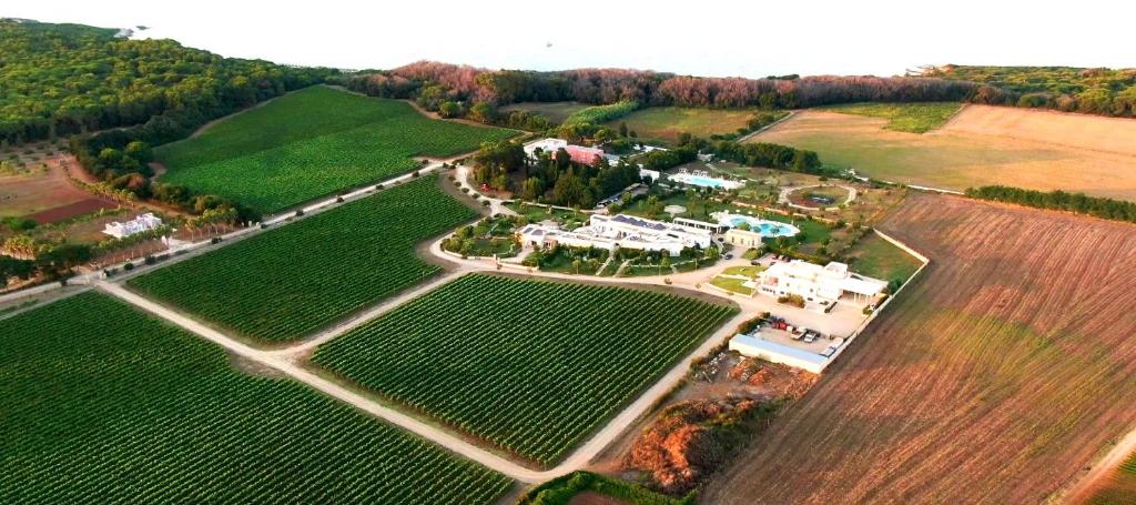 奥特朗托Agriturismo Vigna Corallo的田野房屋的空中景观