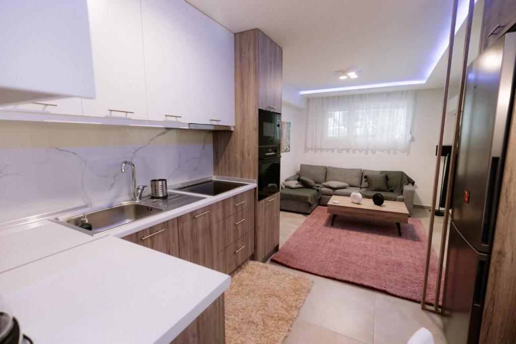 塞萨洛尼基Suzana's Urban apartment的一个带水槽的厨房和一张沙发