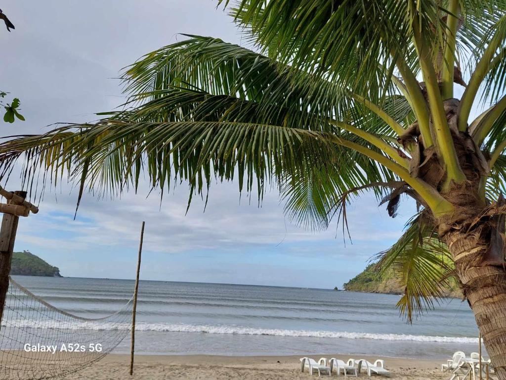 爱妮岛Kubo Inn & Beach Camp的海滩上的棕榈树与大海