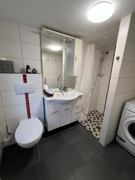 ObereisenheimLilly's Häuschen的浴室配有卫生间、盥洗盆和洗衣机。