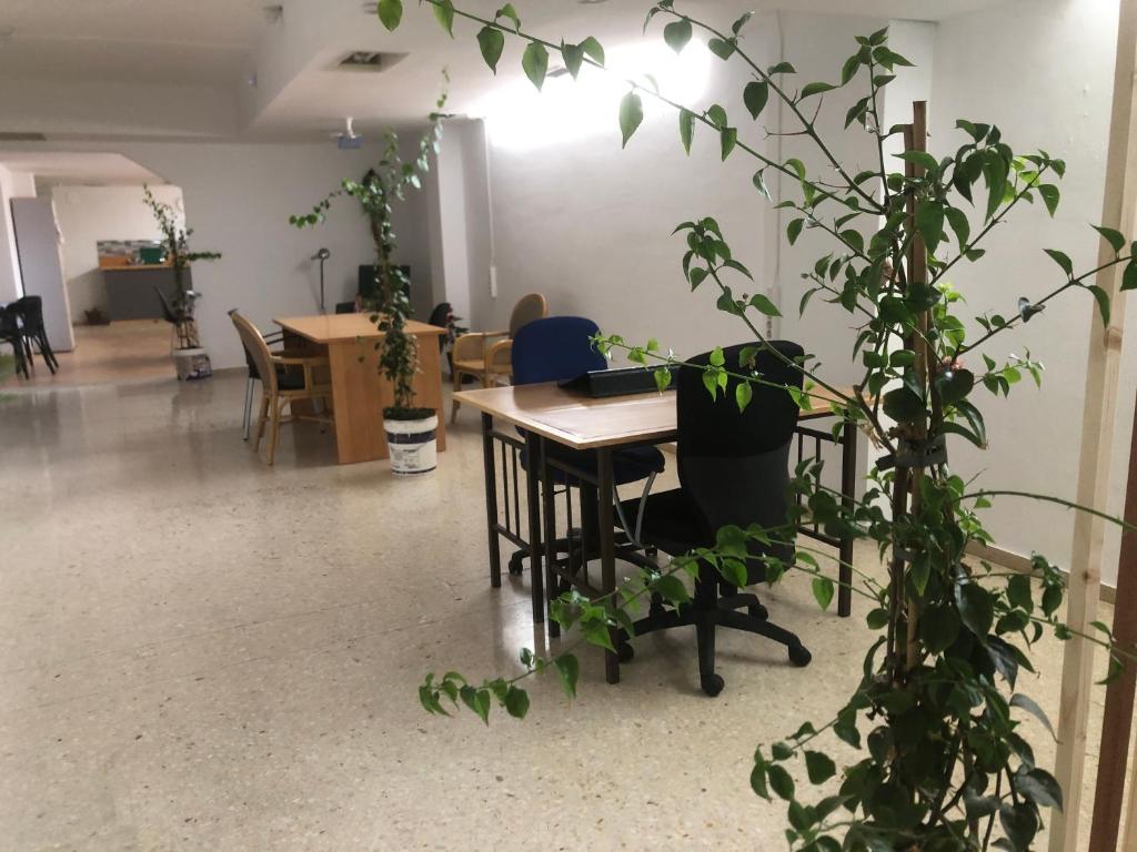 阿雷西费Urban rest zone and coworking的配有桌椅和植物的房间