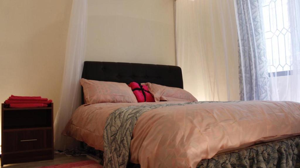 内罗毕3 Bedroom at Nyayo Gate D Estate Embakasi的一间卧室配有带粉红色枕头的床和窗户。