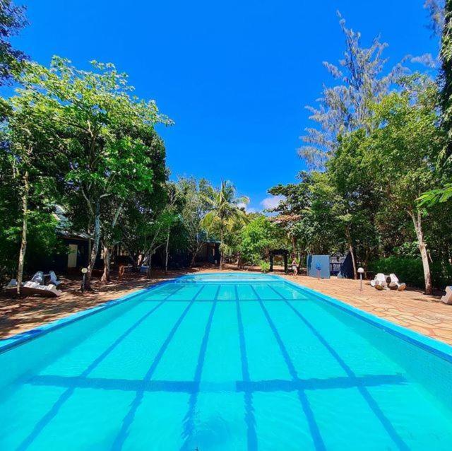 迪亚尼海滩Kijani Cottages In Diani的一座绿树成荫的蓝色游泳池