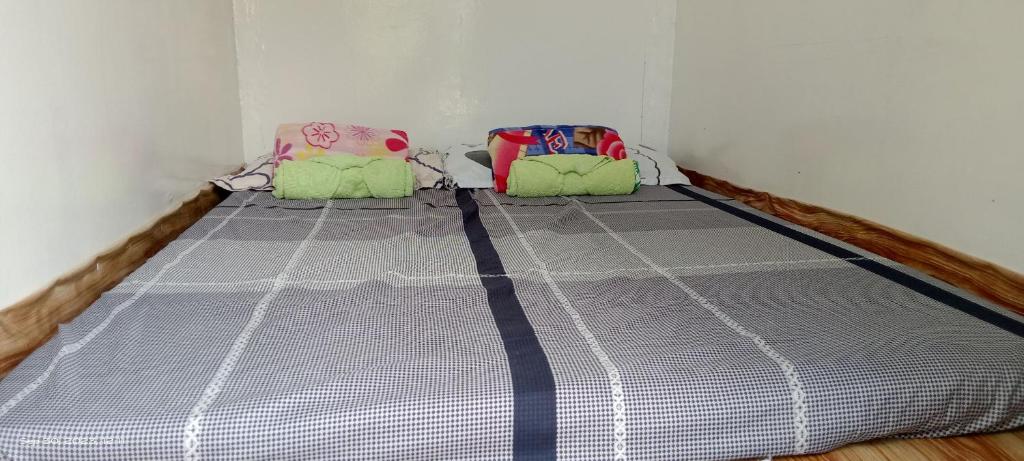 BatuanJolits Ecogarden Integrated Farm的一张位于客房角落的床铺