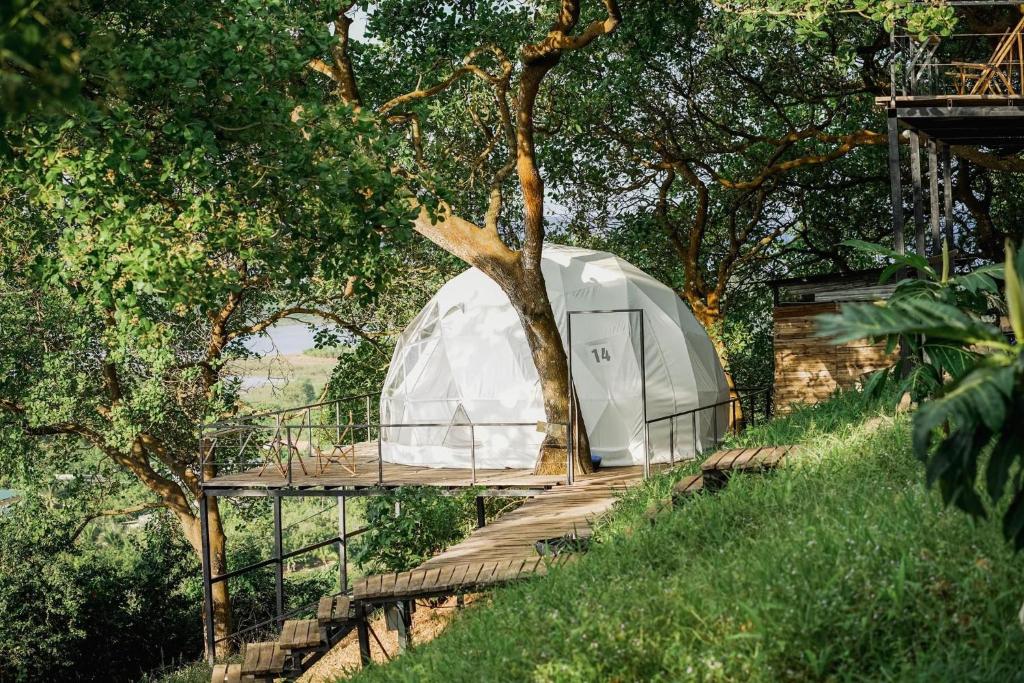 Tân PhúTropical eGlamping的森林中央的圆顶帐篷