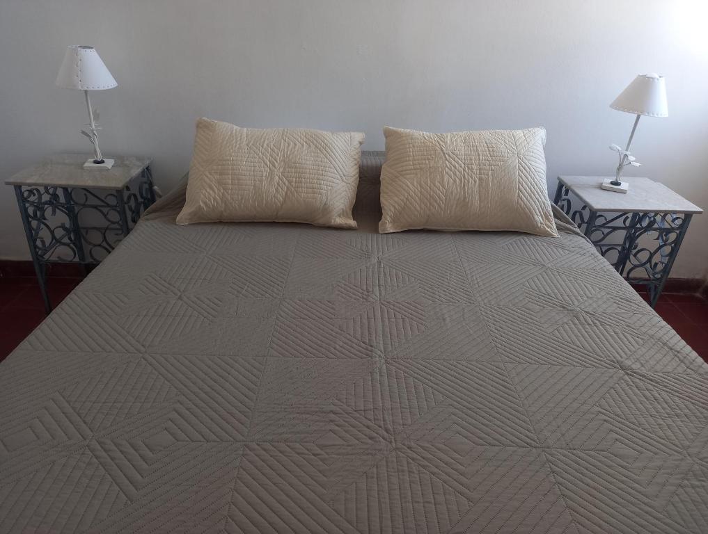 卡塔马卡Casa Eusebio - Catamarca capital的一张带两个枕头的床和两张桌子