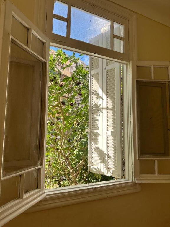 亚历山大Mariamish ‘s place的享有树景的开放式窗户