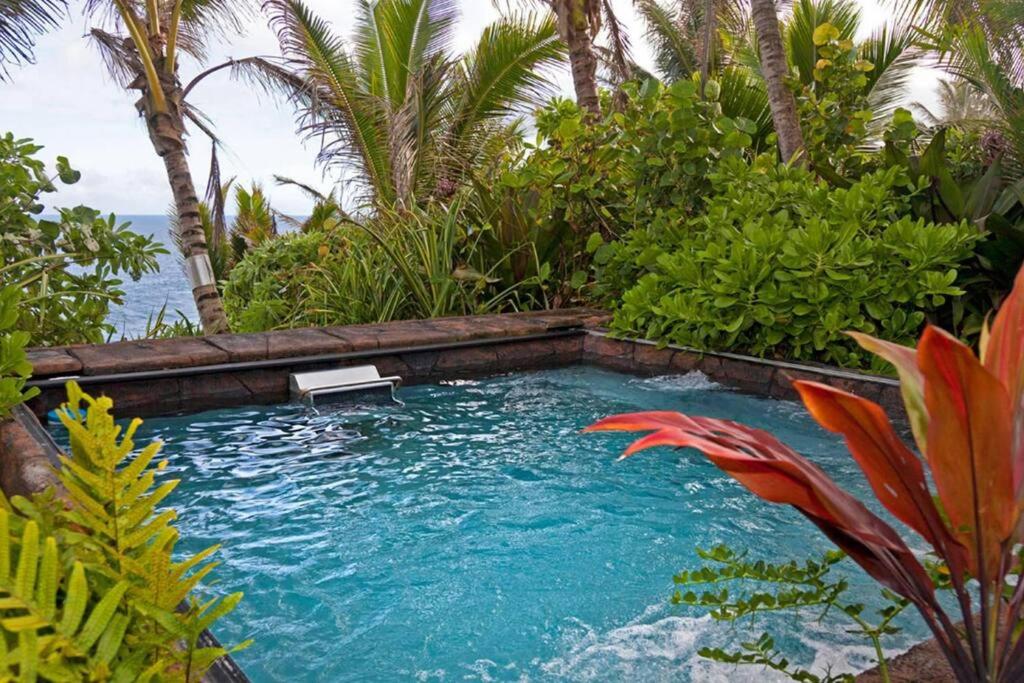 HauulaBeach Front/Free Breakfast/Hawaiian Retreat/Luxury的棕榈树花园内的游泳池