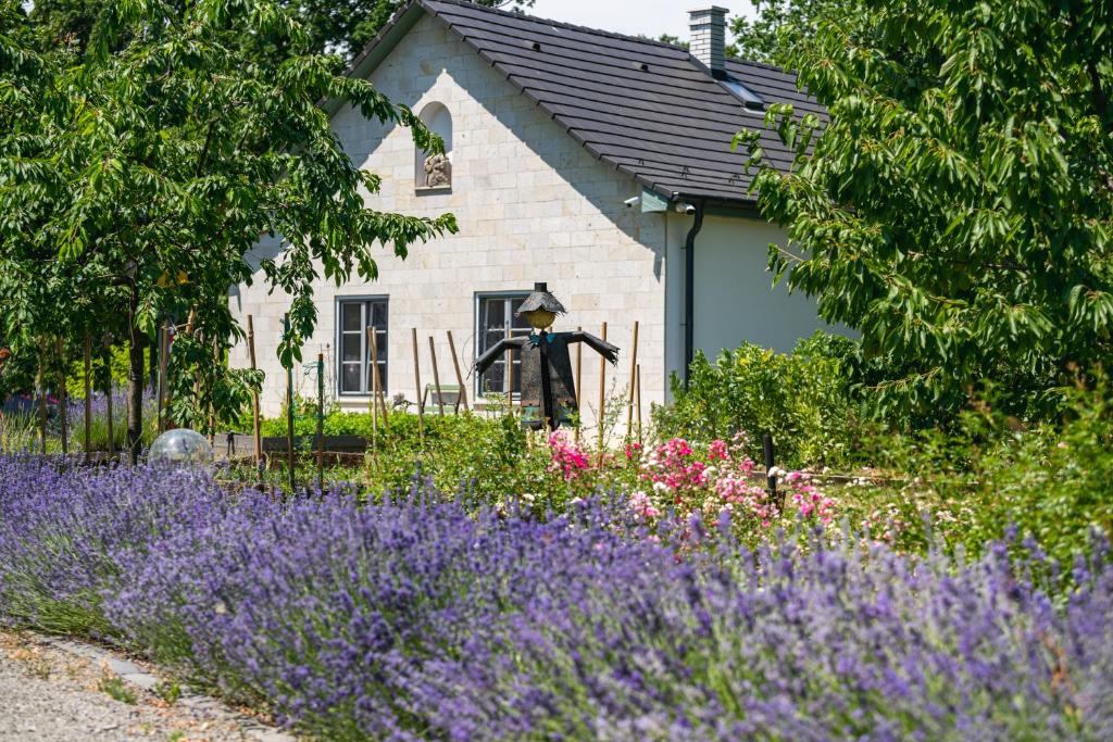 波罗斯洛GRAEFL MAJOR Kétútköz的一座花园,在房子前面种有紫色的花朵