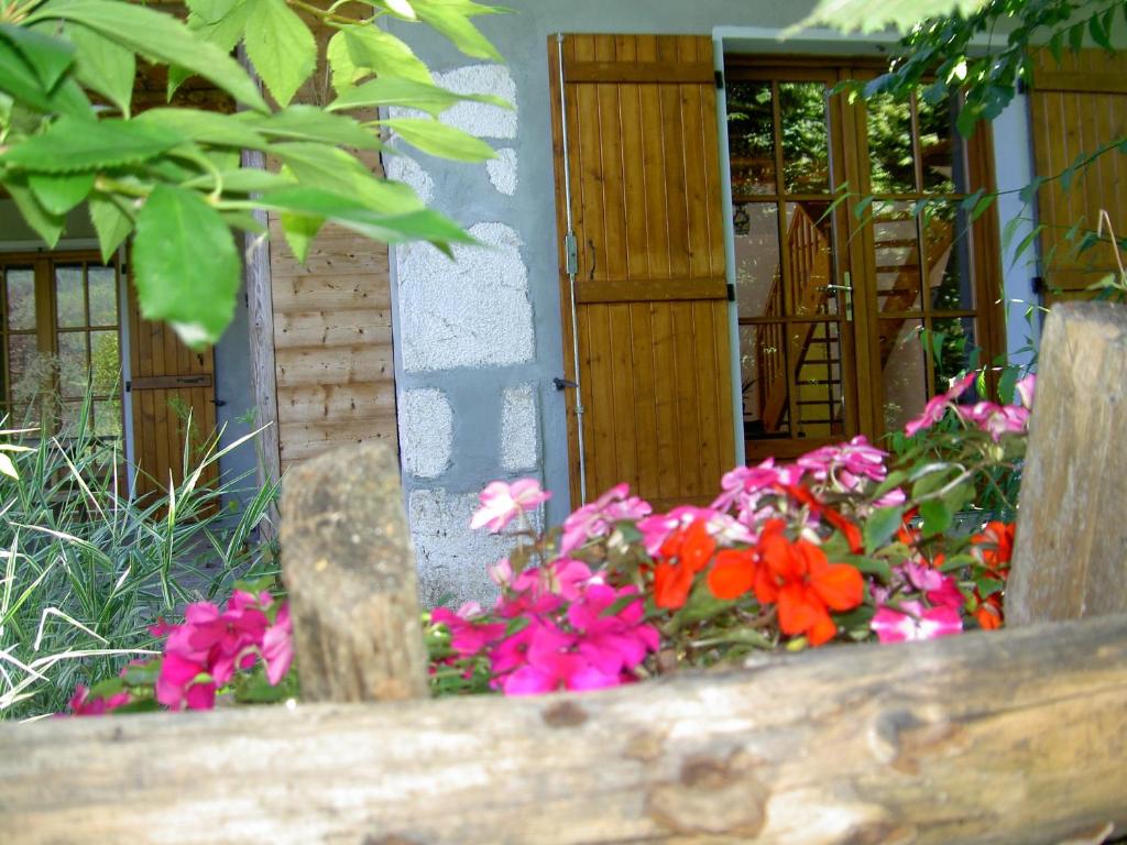 Le NoyerSerenella fontaine Et Coquelicots的花园里的一束五颜六色的鲜花