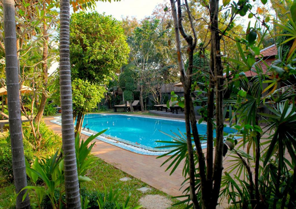 暹粒Prana Hotel的棕榈树花园内的游泳池