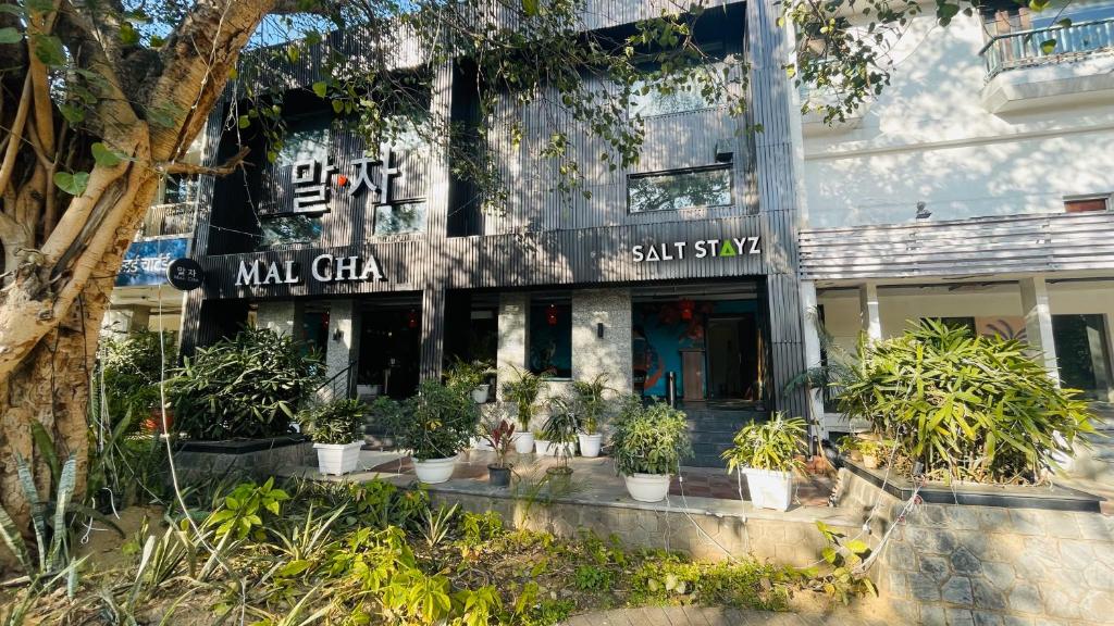 新德里Saltstayz Malcha - Chanakyapuri的前面有盆栽植物的建筑
