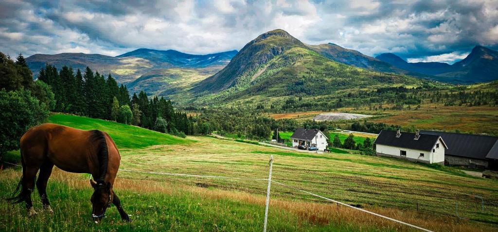 斯特兰达Holiday home among the pearls of Norway的在山地的牧场上放牧的马