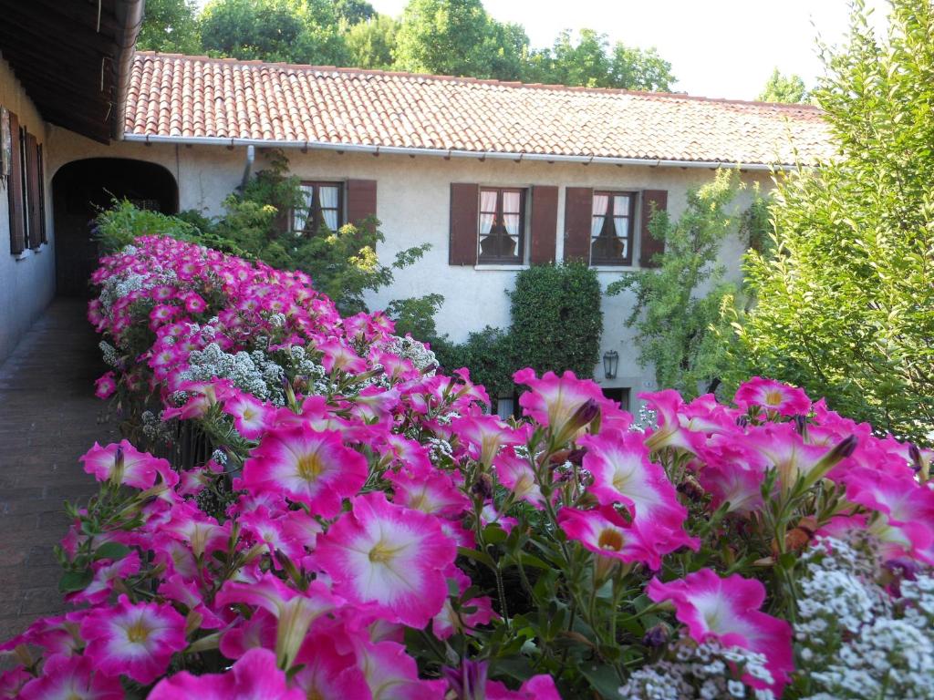 Orsenigo卡西纳扎农家乐的一座花园,在房子前方种有粉红色的花朵