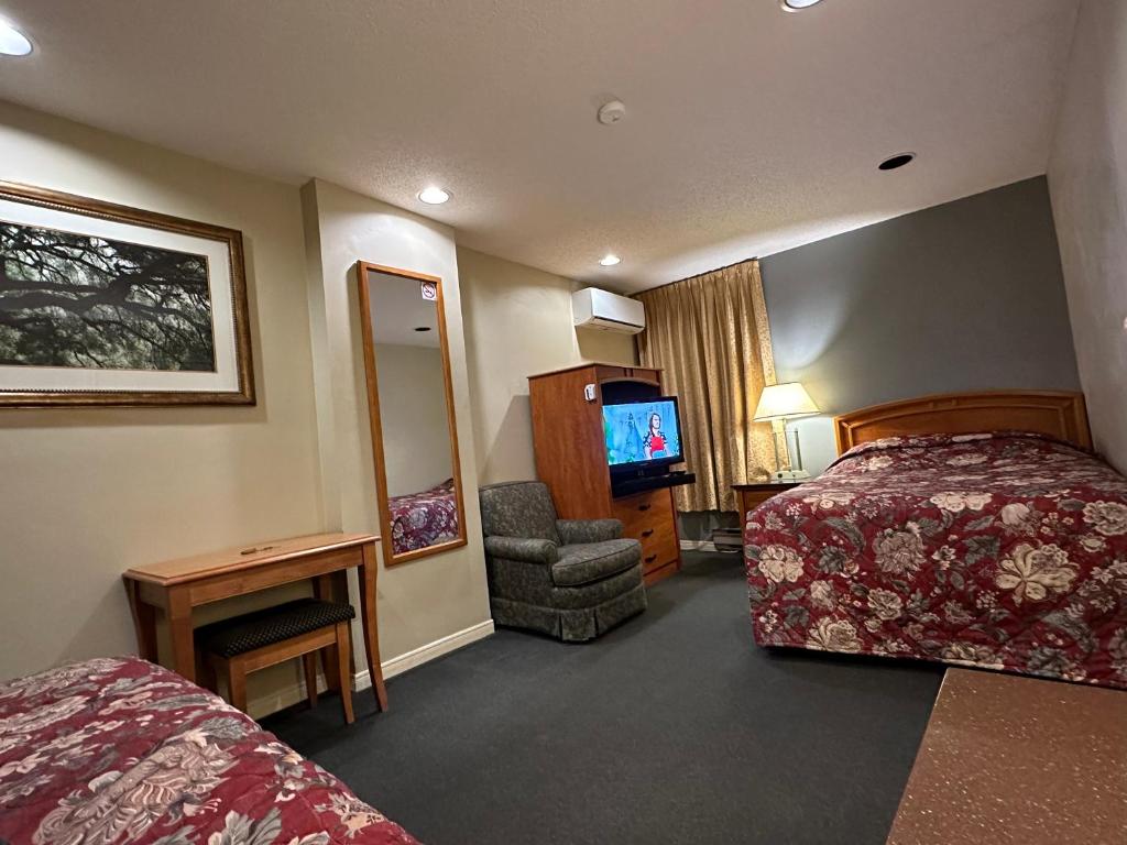 多伦多Nox Hostel的酒店客房,配有床和电视