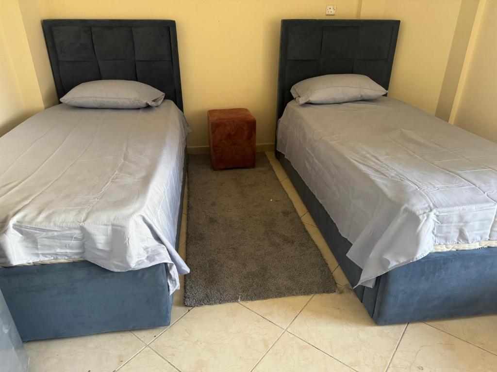 沙迦provis的两张睡床彼此相邻,位于一个房间里