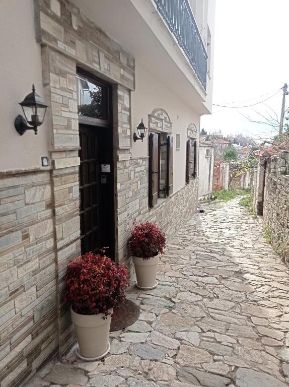 波尔塔里亚Marousos Central Guesthouse的一座房子,房子旁边有两个盆栽植物