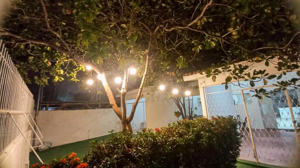若昂佩索阿Yolo Hostel的建筑物前的树,上面有灯