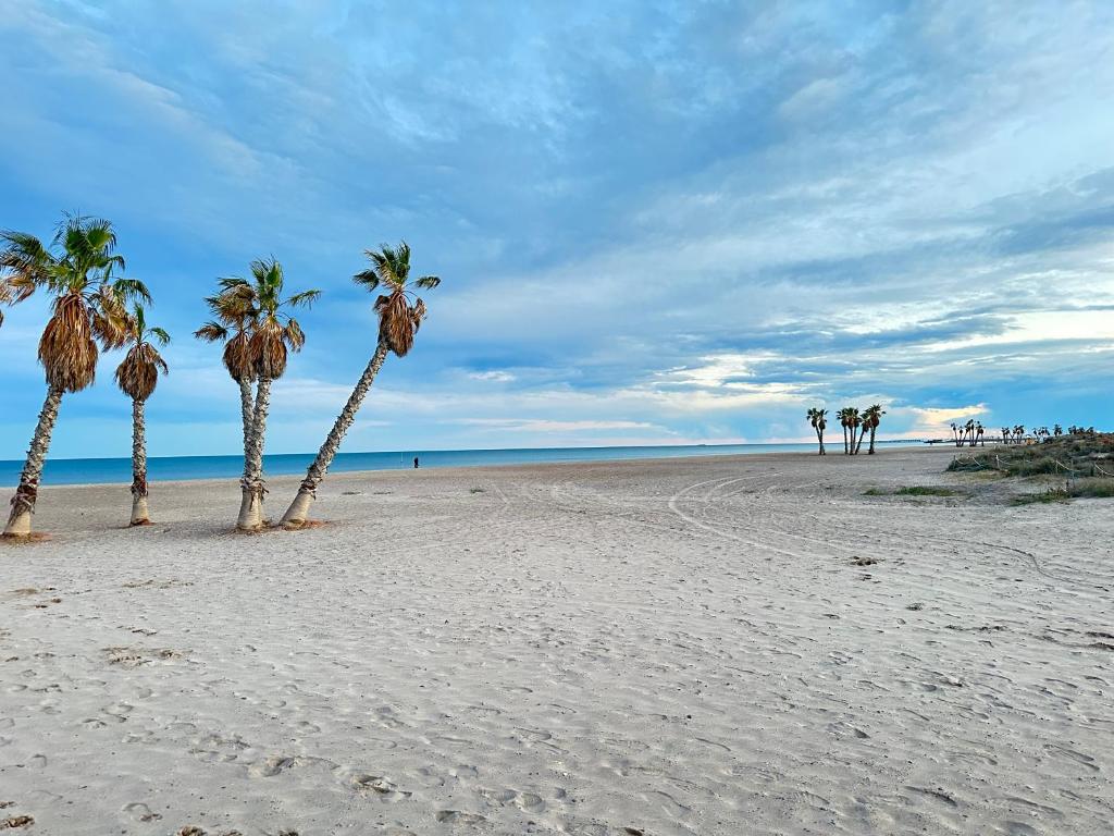 卡耐特蒂贝兰格Apartamentos Canet al Mar.的沙滩上的棕榈树