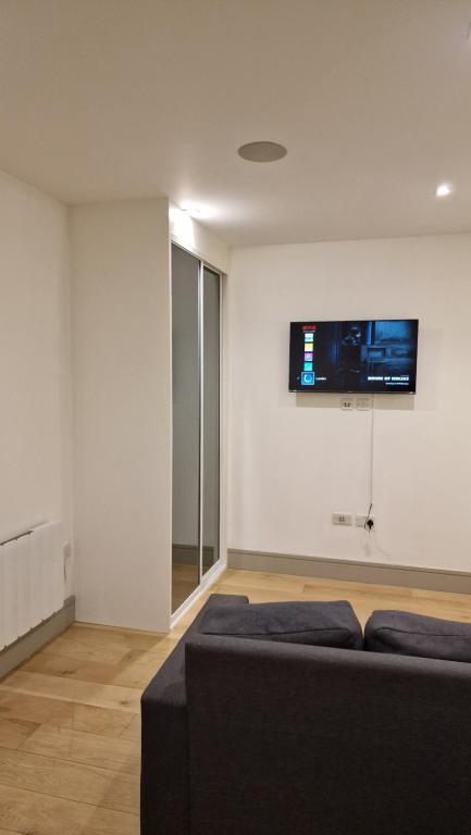 伦敦London Tottenham Stadium Apartment的客厅配有沙发和墙上的电视