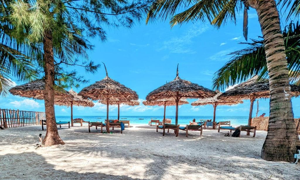 吉汶瓦巴哈蒂酒店的海滩上设有长椅和遮阳伞,还有大海