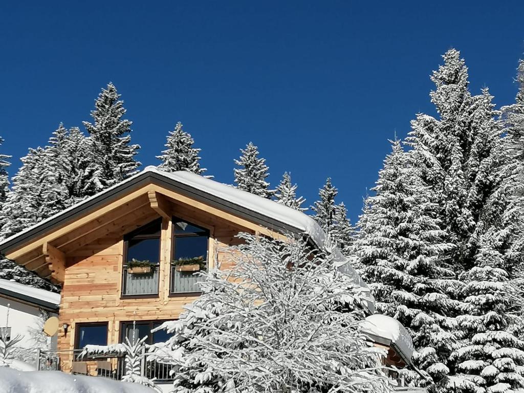 瓦格赖恩Chalet Bergheimat的小屋前面有雪覆盖的树木