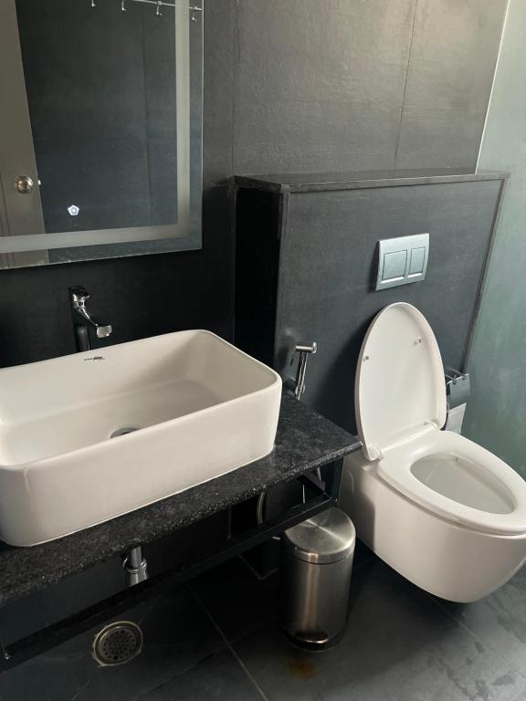 班加罗尔Vrishi Inn的浴室配有白色水槽和卫生间。