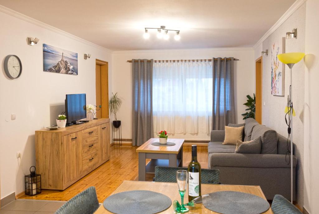 武科瓦尔Vesna的客厅配有沙发和桌子