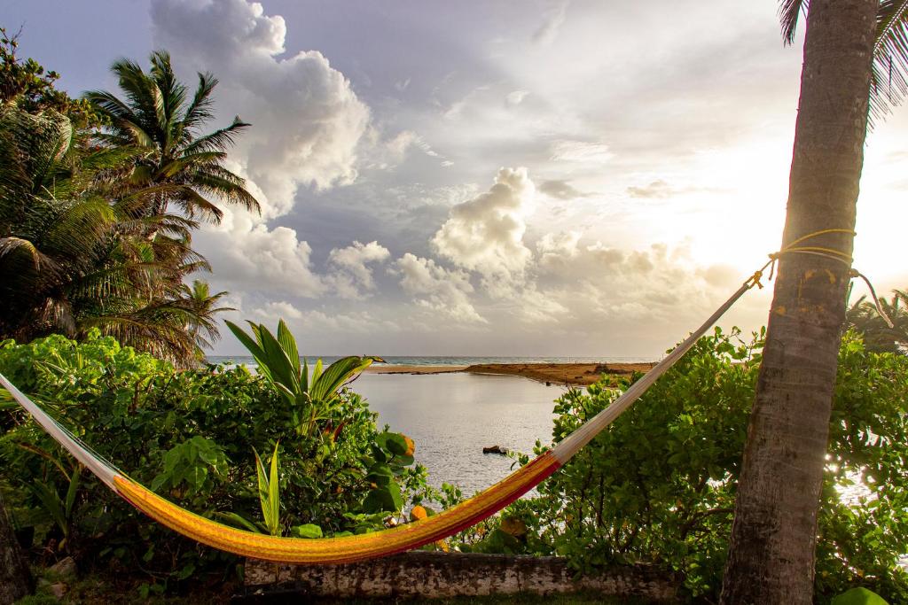 卢基约Casa Coral的吊床挂在棕榈树上,水边