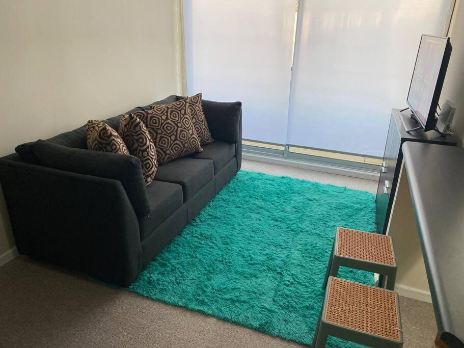 库里科Departamento Full nuevo Curico的客厅配有黑色沙发和绿色地毯。