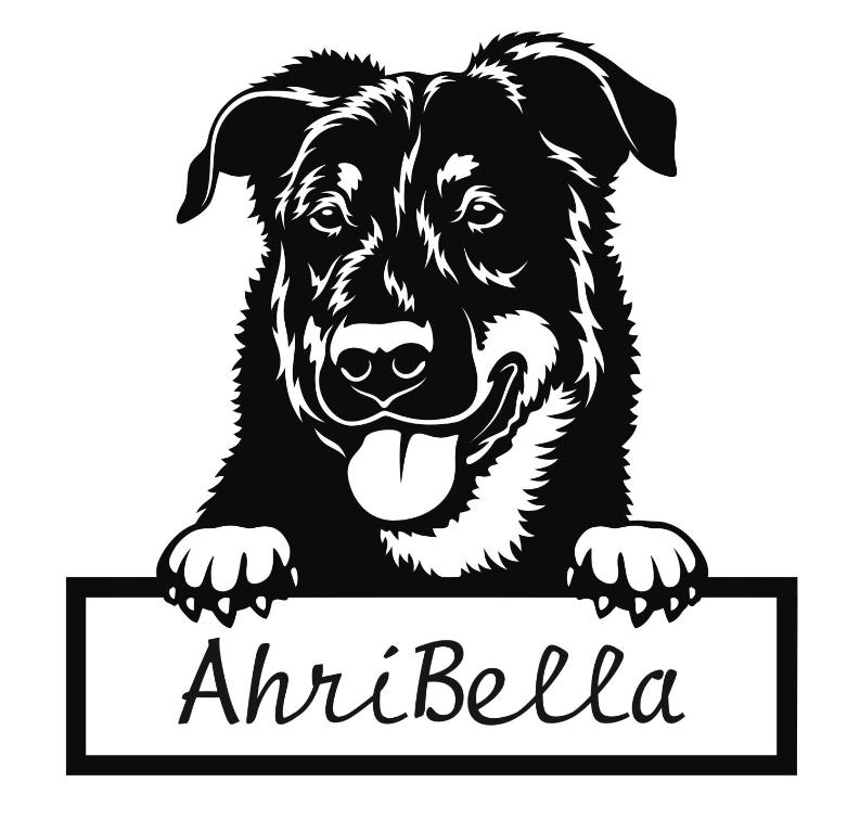 格洛韦URLAUB mit HUND -Ferienwohnung "AhriBella"-的一只嘴里拿着标志的黑狗