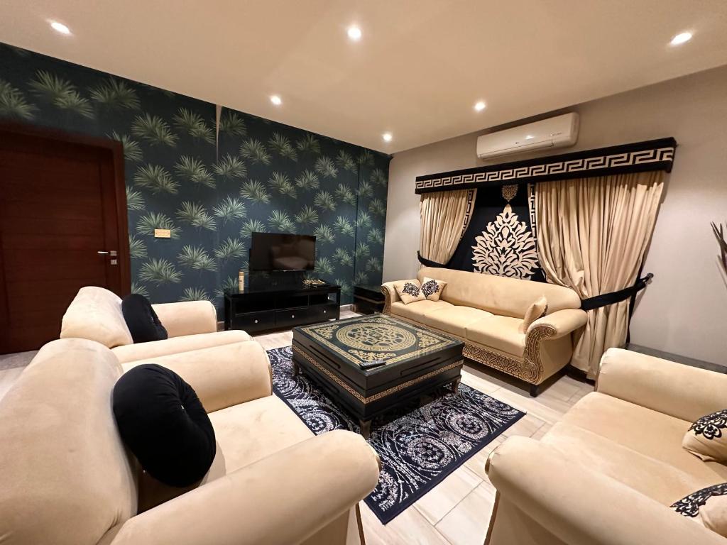 伊斯兰堡Spacious Haven的客厅配有两张沙发和一台电视