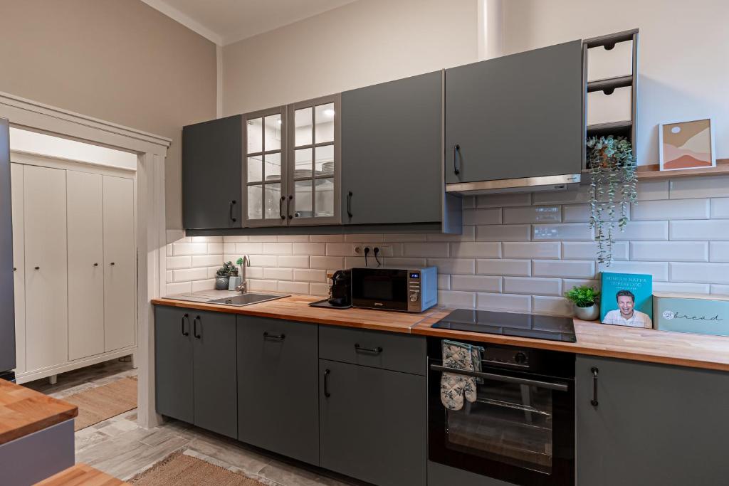 米什科尔茨BB Görgey Apartman I.的厨房配有灰色橱柜和台面