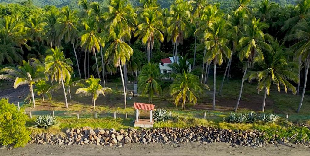 埃尔库科Sugarloaf Beach House & Surf Lodge的棕榈树前的标志