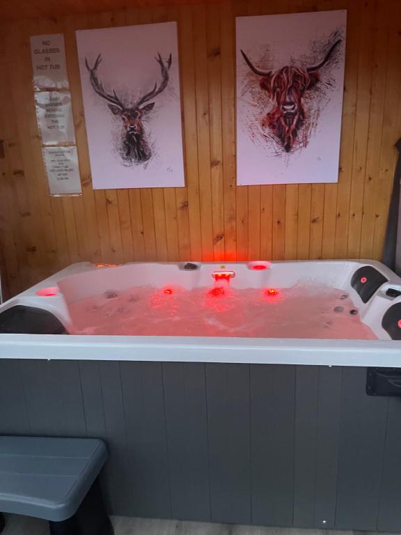 威廉堡Ben Nevis Manor Lodge & Indoor Private Hot-Tub的浴缸内有两头鹿头